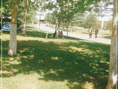 -灞河西岸滨河公园
