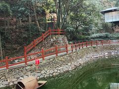 -十八棵（老龙井）御茶园(老龙井店)