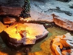 -泉城欧乐堡海洋极地世界