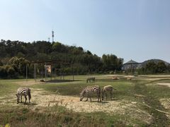 -宁波野生动物园