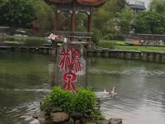 -靖西鹅泉风景区