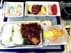-全日本空输株式会社(上海办事处)