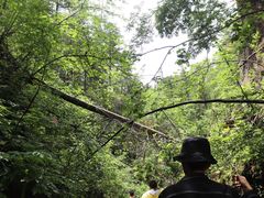 -峡谷浮石林景区