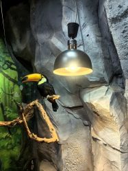 -Zoolung Zoolung动物主题公园(海信广场店)