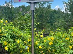 -广州白江湖森林公园