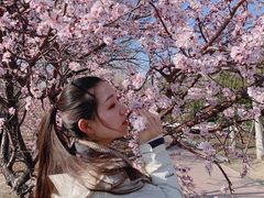 -北运河水利风景区