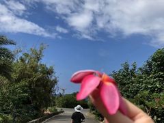 -白沙湾海滩