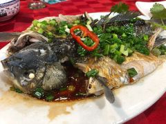 -先鲜鲫鱼粥