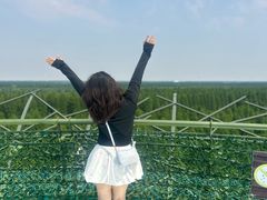 -黄海国家森林公园