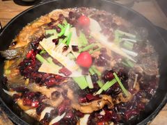 -老板恋上鱼(印象城店)