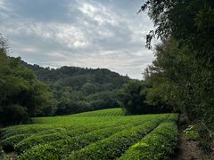 -敬亭山风景名胜区