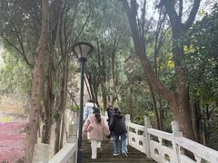 -长屿硐天八仙岩景区