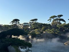 -罗红摄影艺术馆