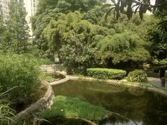 -成都市活水公园