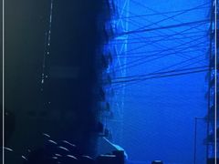 -火星时代教育(成都校区)