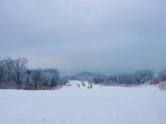 -中旅松花湖滑雪场