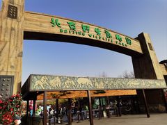 -北京野生动物园
