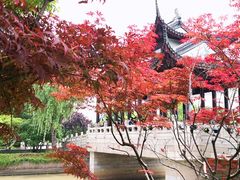 -枫桥景区
