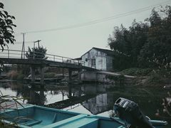 -莲花岛景区