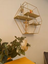 -演员的秘密·皮肤管理