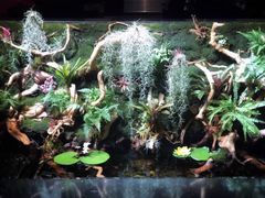 -希望齿科(河西店)