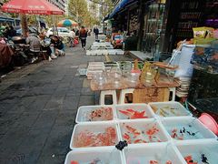 -青石桥花鸟鱼虫市场(叠翠城店)