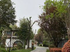 -西安国际创新人才交流中心•药浴温泉