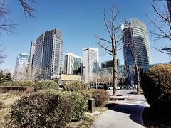 -顺城公园