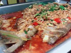 -黑猫馋纸包鱼(阳光店)