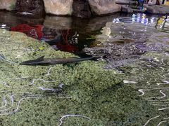 -鸿通城购物中心