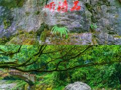 -西岭雪山大飞水景区