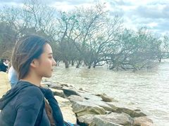 -宝安西湾红树林湿地公园