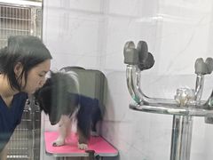 -博特宠物医院24h犬猫全科.骨科·异宠
