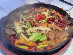 -老板恋上鱼(高新万达店)