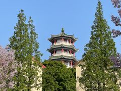 -青岛海滨风景区小鱼山