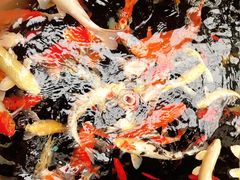 -龙源九号花园酒店(叶埠桥店)