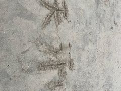 -白城沙滩