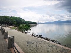 -深圳湾公园(南山区)