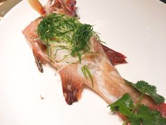 -協成海鮮火鍋(老店)
