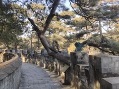 -清西陵