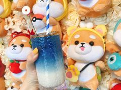 -柴犬高等学院·狗咖·柴犬售卖·宠物训练