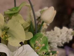 -villaa·别墅·融合菜西餐厅