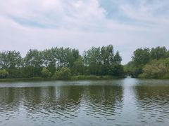 -溱湖国家湿地公园