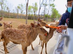 -南京金牛湖风景区