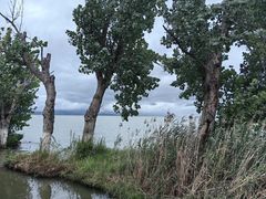 -捞渔河湿地公园