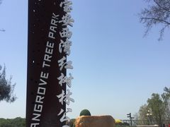 -宝安西湾红树林湿地公园