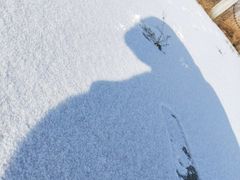 -蒲河岛湿地公园