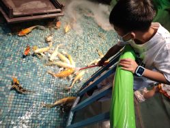 -酷嗒动物文化乐园(cutezoo西溪乐天城店)