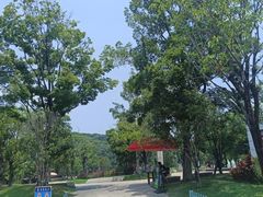 -牛岗山公园