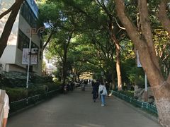-杭州半山国家森林公园